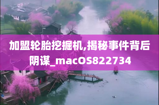 加盟轮胎挖掘机,揭秘事件背后阴谋_macOS822734