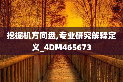 挖掘机方向盘,专业研究解释定义_4DM465673