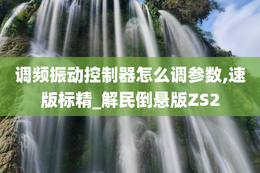 调频振动控制器怎么调参数,速版标精_解民倒悬版ZS2