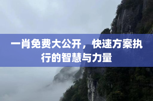 一肖免费大公开，快速方案执行的智慧与力量