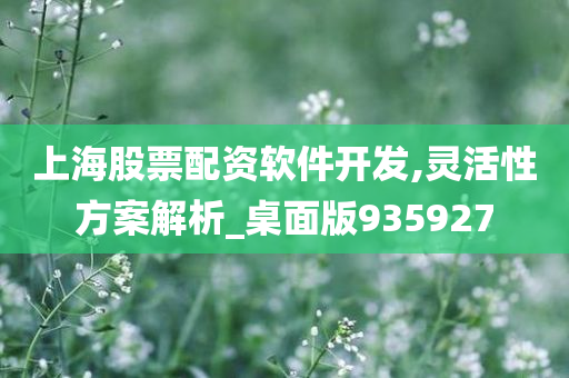 上海股票配资软件开发,灵活性方案解析_桌面版935927