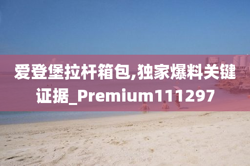 爱登堡拉杆箱包,独家爆料关键证据_Premium111297