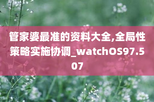 管家婆最准的资料大全,全局性策略实施协调_watchOS97.507