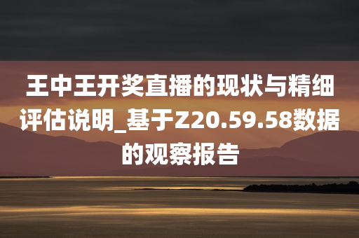 王中王开奖直播的现状与精细评估说明_基于Z20.59.58数据的观察报告