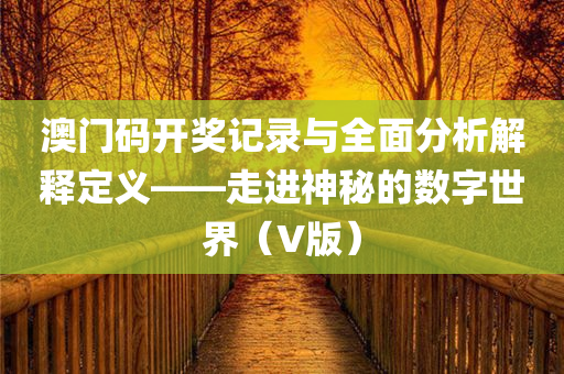 澳门码开奖记录与全面分析解释定义——走进神秘的数字世界（V版）