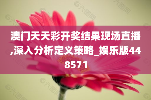 澳门天天彩开奖结果现场直播,深入分析定义策略_娱乐版448571