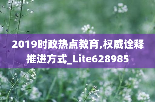 2019时政热点教育,权威诠释推进方式_Lite628985