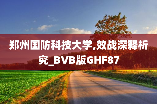 郑州国防科技大学,效战深释析究_BVB版GHF87