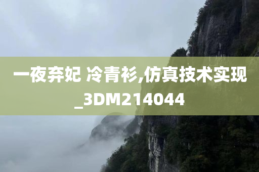 一夜弃妃 冷青衫,仿真技术实现_3DM214044