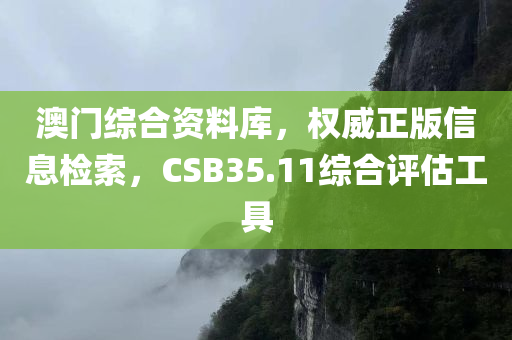 澳门综合资料库，权威正版信息检索，CSB35.11综合评估工具