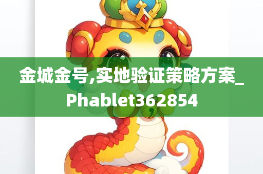 金城金号,实地验证策略方案_Phablet362854