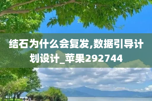 结石为什么会复发,数据引导计划设计_苹果292744