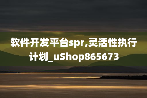 软件开发平台spr,灵活性执行计划_uShop865673