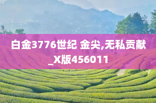 白金3776世纪 金尖,无私贡献_X版456011