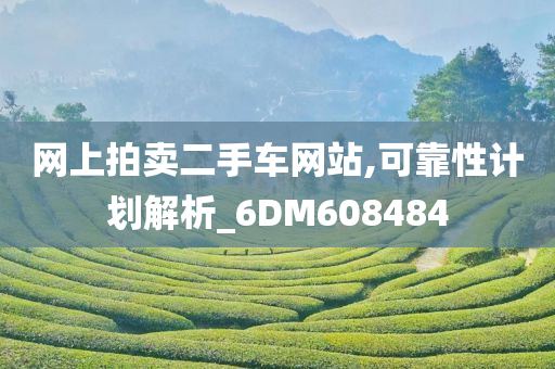 网上拍卖二手车网站,可靠性计划解析_6DM608484