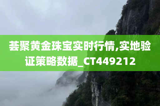 荟聚黄金珠宝实时行情,实地验证策略数据_CT449212