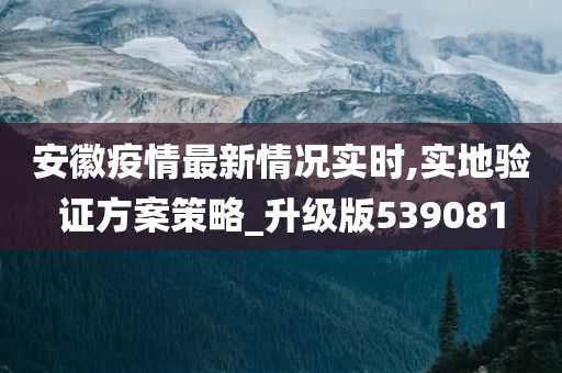 安徽疫情最新情况实时,实地验证方案策略_升级版539081