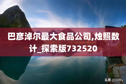 巴彦淖尔最大食品公司,烛照数计_探索版732520