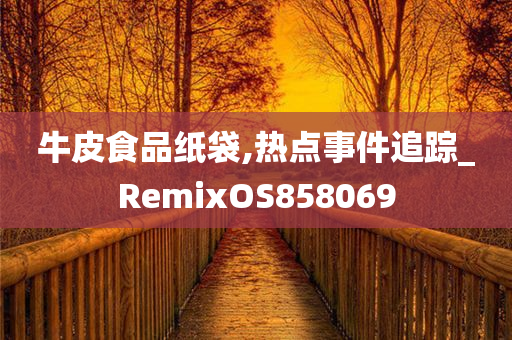 牛皮食品纸袋,热点事件追踪_RemixOS858069