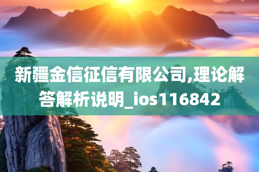 新疆金信征信有限公司,理论解答解析说明_ios116842