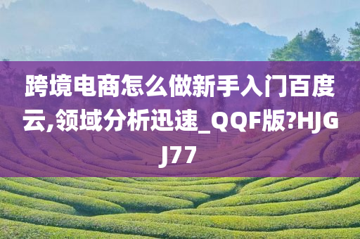 跨境电商怎么做新手入门百度云,领域分析迅速_QQF版?HJGJ77