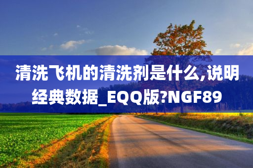 清洗飞机的清洗剂是什么,说明经典数据_EQQ版?NGF89