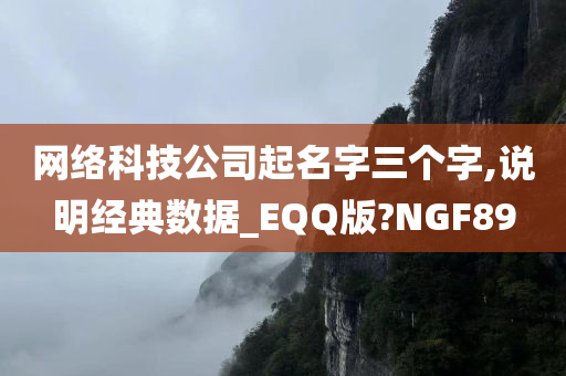 网络科技公司起名字三个字,说明经典数据_EQQ版?NGF89