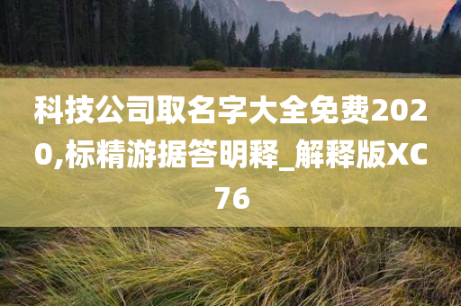 科技公司取名字大全免费2020,标精游据答明释_解释版XC76