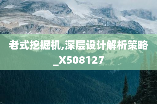 老式挖掘机,深层设计解析策略_X508127