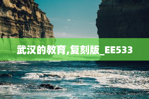 武汉的教育,复刻版_EE533