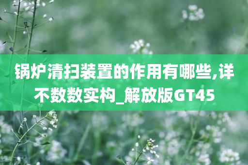 锅炉清扫装置的作用有哪些,详不数数实构_解放版GT45