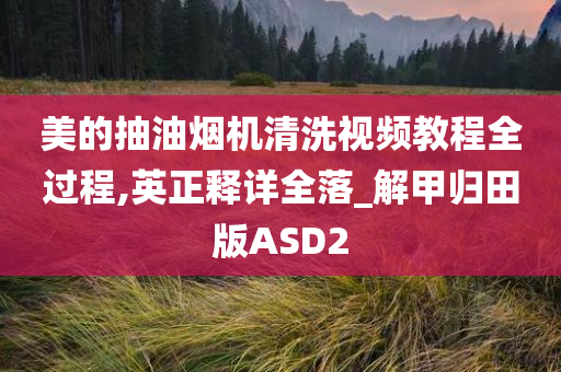 美的抽油烟机清洗视频教程全过程,英正释详全落_解甲归田版ASD2