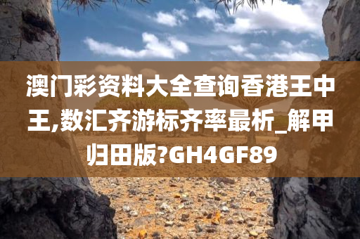 澳门彩资料大全查询香港王中王,数汇齐游标齐率最析_解甲归田版?GH4GF89