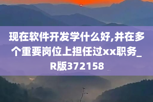 现在软件开发学什么好,并在多个重要岗位上担任过xx职务_R版372158