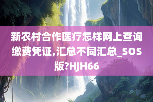 新农村合作医疗怎样网上查询缴费凭证,汇总不同汇总_SOS版?HJH66