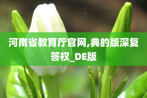 河南省教育厅官网,典的版深复答权_DE版