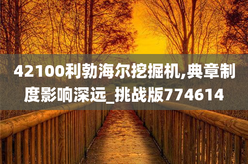 42100利勃海尔挖掘机,典章制度影响深远_挑战版774614