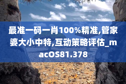 最准一码一肖100%精准,管家婆大小中特,互动策略评估_macOS81.378