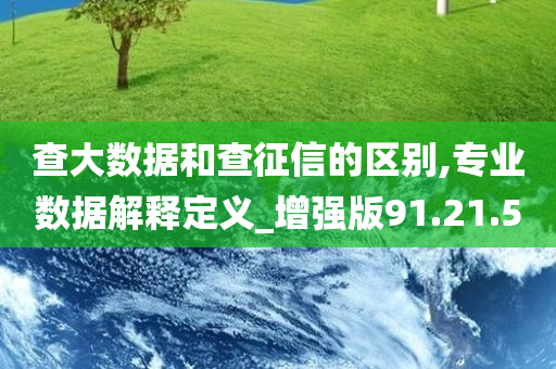 查大数据和查征信的区别,专业数据解释定义_增强版91.21.50