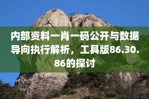 内部资料一肖一码公开与数据导向执行解析，工具版86.30.86的探讨