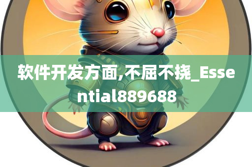 软件开发方面,不屈不挠_Essential889688