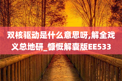 双核驱动是什么意思呀,解全戏义总地研_慷慨解囊版EE533