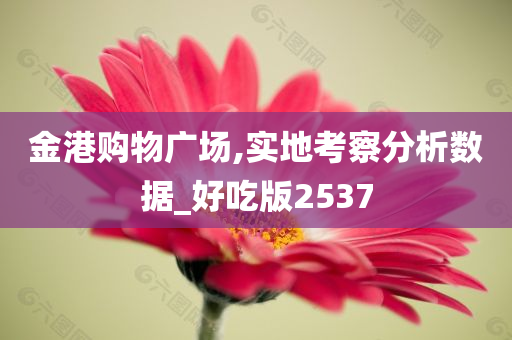 金港购物广场,实地考察分析数据_好吃版2537