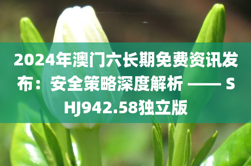 2024年澳门六长期免费资讯发布：安全策略深度解析 —— SHJ942.58独立版