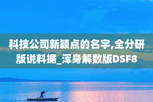 科技公司新颖点的名字,全分研版说料据_浑身解数版DSF8