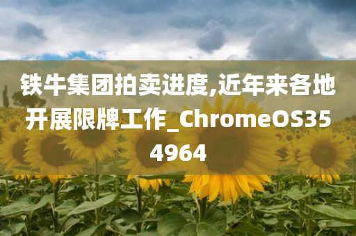 铁牛集团拍卖进度,近年来各地开展限牌工作_ChromeOS354964