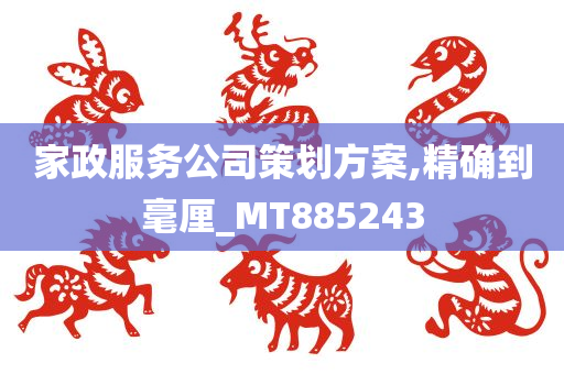 家政服务公司策划方案,精确到毫厘_MT885243