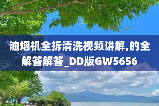 油烟机全拆清洗视频讲解,的全解答解答_DD版GW5656