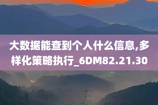 大数据能查到个人什么信息,多样化策略执行_6DM82.21.30