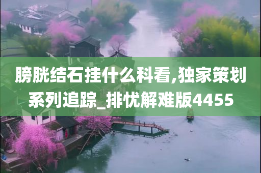 膀胱结石挂什么科看,独家策划系列追踪_排忧解难版4455